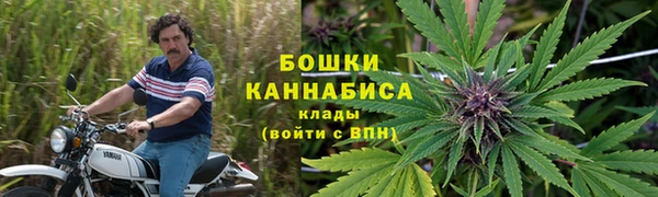 тгк Арсеньев