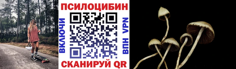 Галлюциногенные грибы мицелий  магазин  наркотиков  Зима 