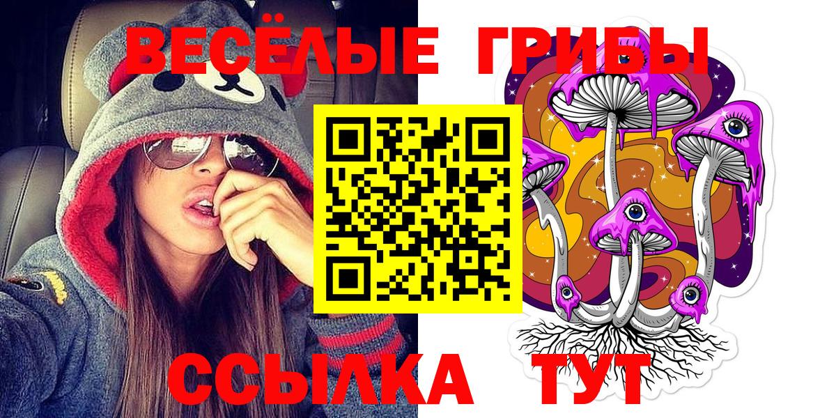 Псилоцибиновые грибы прущие грибы  Вход с VPN  закладки  Зима  Галлюциногенные грибы Psilocybine cubensis 
